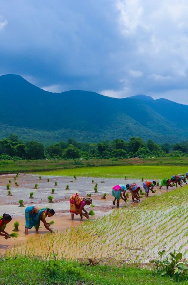 Farmers & FPOs
