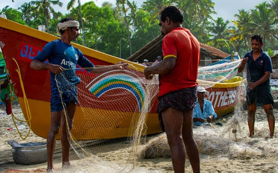 Fisheries & seafood