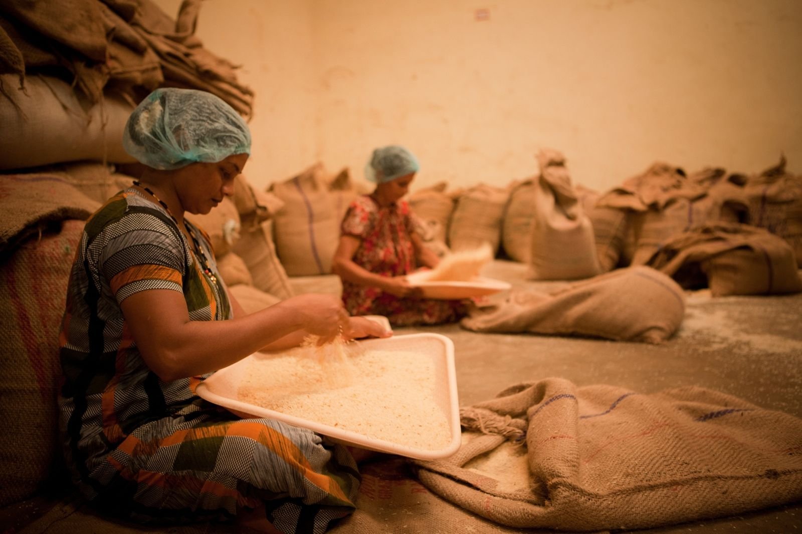 Food processing & agro units