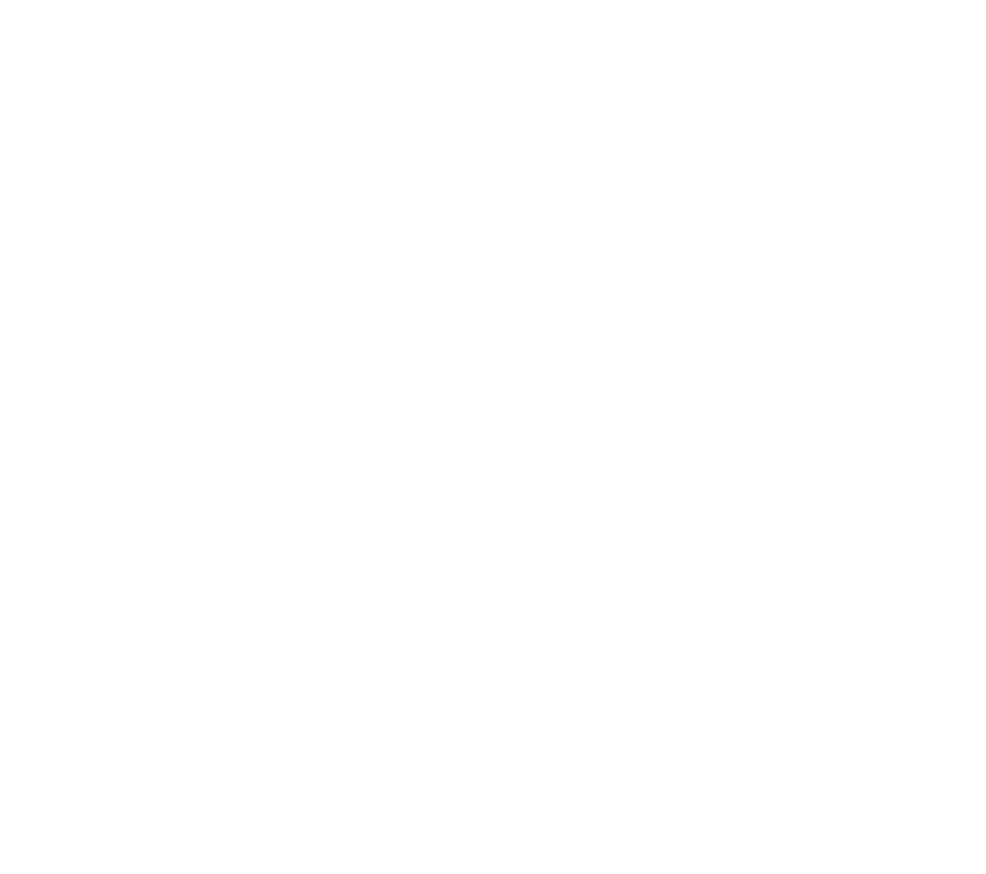SureShot Consulting Group — A Hybrid Industrial Consultancy
